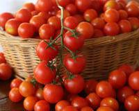 Os tomates ficarão doces como açúcar, e a colheita será farta em baldes: o que espalhar debaixo dos arbustos?
