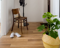 Esses são os truques para colocar plantas no corredor da sua casa mesmo que ele não tenha luz direta