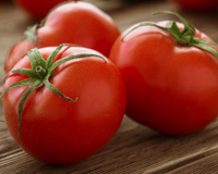Essa é a forma correta de armazenar tomates maduros para durarem mais sem perder o sabor
