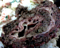 Rocambole de carne simples