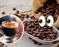 É o fim do café arábica? O que dizem estudos internacionais e quando a crise pode chegar à sua xícara