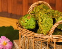 Receitas com ora-pro-nóbis: confira 3 opções deliciosas com essa PANC