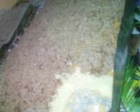 Cuca com farofa de canela