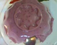 Iogurte com gelatina