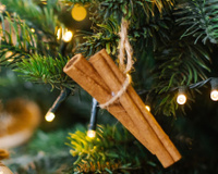 O que acontece quando você pendura paus de canela em sua casa?