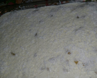 Torta de abacaxi perfeita e simples