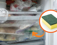 Coloquei uma esponja de cozinha no congelador e não conseguia parar de pensar que...