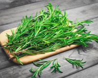 Conheça 5 plantas medicinais para ter em casa