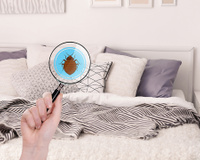 A sua cama é um paraíso pra você, mas também para bactérias, fungos, ácaros e vírus: lave na frequência certa lençóis e travesseiros