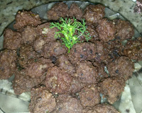 Bolinho de carne moída