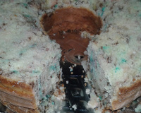 Bolo arco-íris da Dry