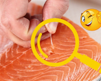 Palavra da chef: essa é a melhor forma de tirar espinha do salmão (sem pinça)