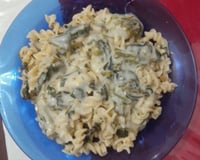 Macarrão com molho de queijo e brócolis