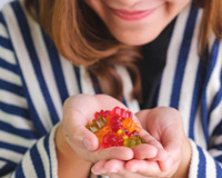 Prepare-se: o mundo vai ficar "jujubeleza" em 2026, os millennials e Geração Z ressuscitaram a bala de gelatina e essa tendência começa na cozinha