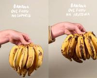 Com quantos anos você descobriu que você tem que manter a banana pendurada em casa?