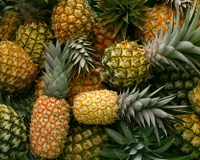 Como escolher abacaxi: veja as dicas