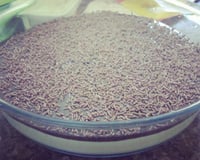 Torta de coco com creme de chocolate