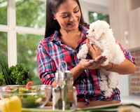 Celebre as festas de final de ano com o seu pet com estas opções de biscoitos caninos!