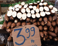 Preste atenção nesses 7 detalhes na hora de escolher mandioca na feira ou no mercado