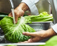 Alface: o que você deve observar antes de adicioná-la à sua salada!