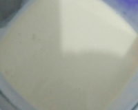 Leite Condensado de Leite em Pó