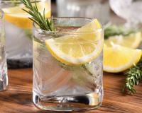 Gin tônica