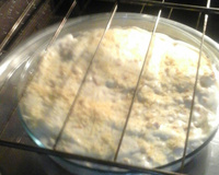 Filé de frango ao molho branco