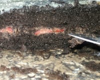 Bolo recheado fácil fácil