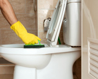 Diga adeus ao bicarbonato de sódio e ao vinagre: a dica secreta da vovó para um vaso sanitário impecavelmente limpo