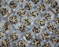 Brigadeiros Gourmet de Nozes