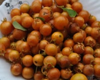 Uma fruta antiga de quintal da vovó está de volta nos jardins e pomares e atualmente é usada em pesquisas