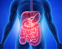 Nem bacon, nem maionese: "O que acumula gordura no fígado não é a gordura, a causa é o..."