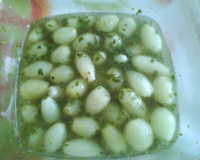 Cebolinha em conserva