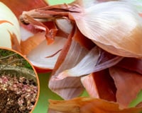 Casca de cebola é um fertilizante natural magnífico para plantas; veja como fazer