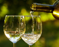 Vinho branco: descubra as top 6 uvas nobres e imperdíveis, segundo especialista