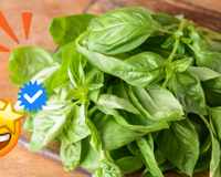 Muito além do aroma: os benefícios pouco conhecidos do manjericão vão te fazer incluir a erva nas suas receitas