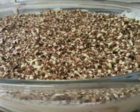 Pavê de bolacha champagne