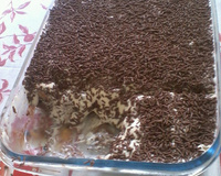 Pavê de sonho de valsa