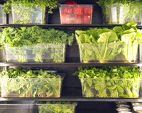 Muita gente perde temperos e hortaliças no calor por ignorar esse detalhe simples nos dias quentes