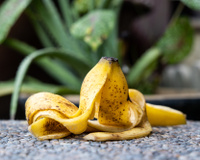 8 formas inacreditáveis de aproveitar a casca de banana: descubra como fazer e economize