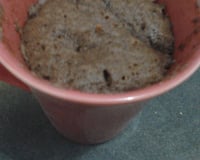 Bolo de caneca sem ovo e sem óleo