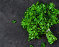 Entenda qual a diferença entre coentro e salsa para nunca mais se confundir