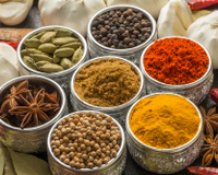 Temperos pelo mundo: as especiarias da rica culinária indiana