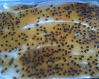 Pavê mousse de maracujá