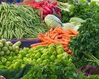 4 vegetais esquecidos, mas poderosos: conheça os benefícios da chicória, do inhame, do jiló e do agrião