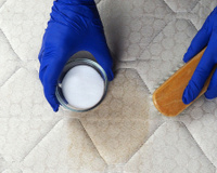 Nem vinagre, nem limão: remova o mofo do colchão usando uma solução de limpeza caseira simples