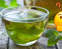 O que acontece se você tomar chá de melissa todos os dias: entenda benefícios, efeitos colaterais e saiba como fazer a infusão