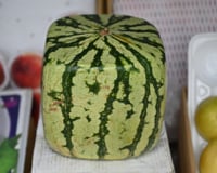 Frutas de luxo podem custar até R$50 mil: melancia quadrada, pera com rosto e melão japonês estão entre iguarias