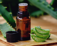 A planta mais anti-inflamatória para a cicatrização da pele, segundo dermatologistas