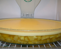 Geladão de abacaxi na travessa com gelatina e creme